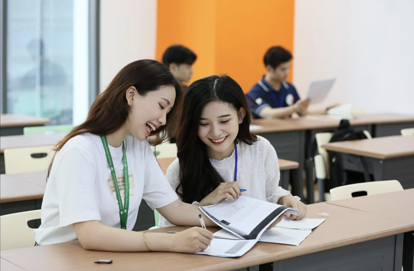 Sinh viên đại học
