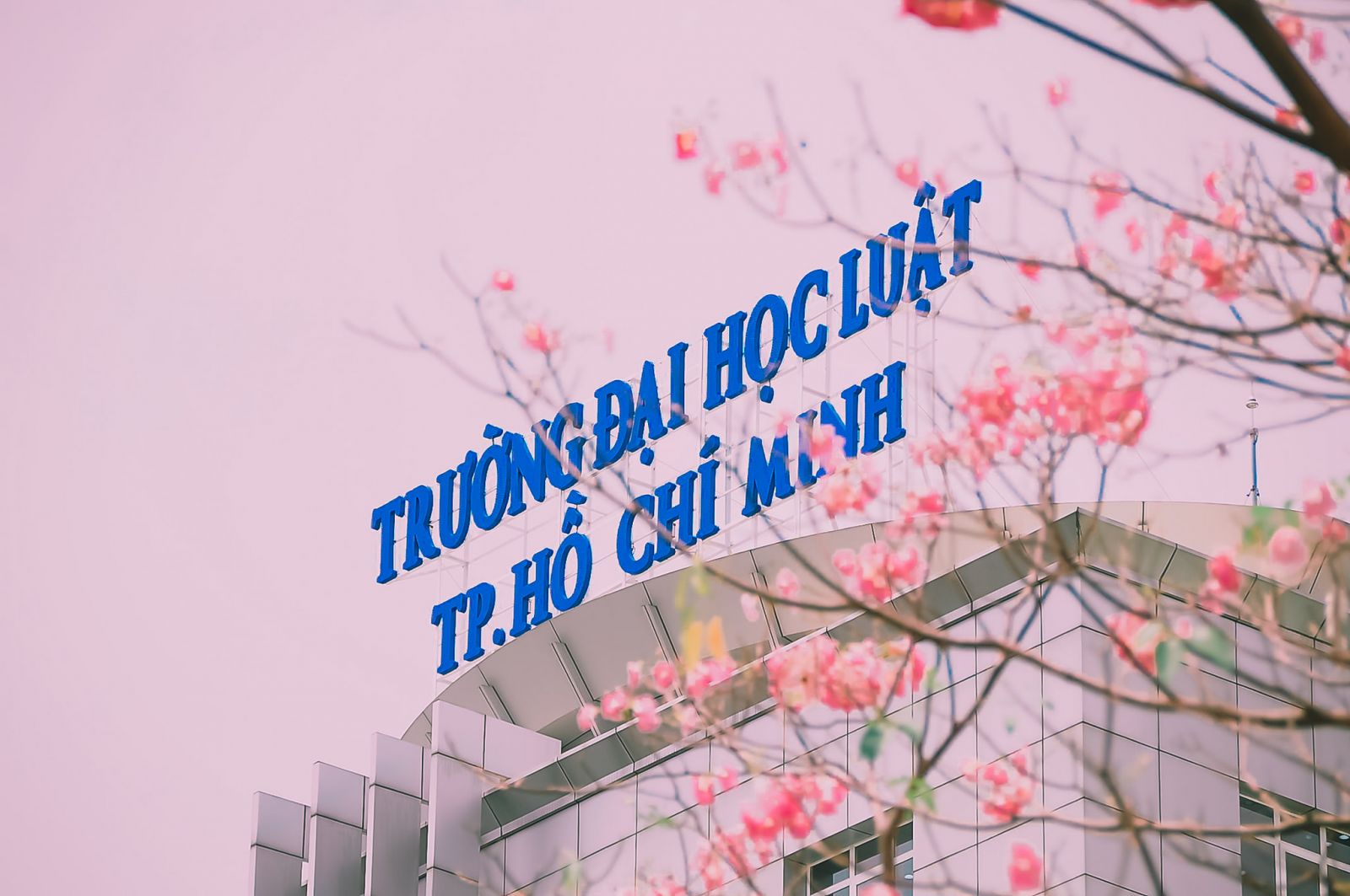 trường ĐH Luật TP HCM