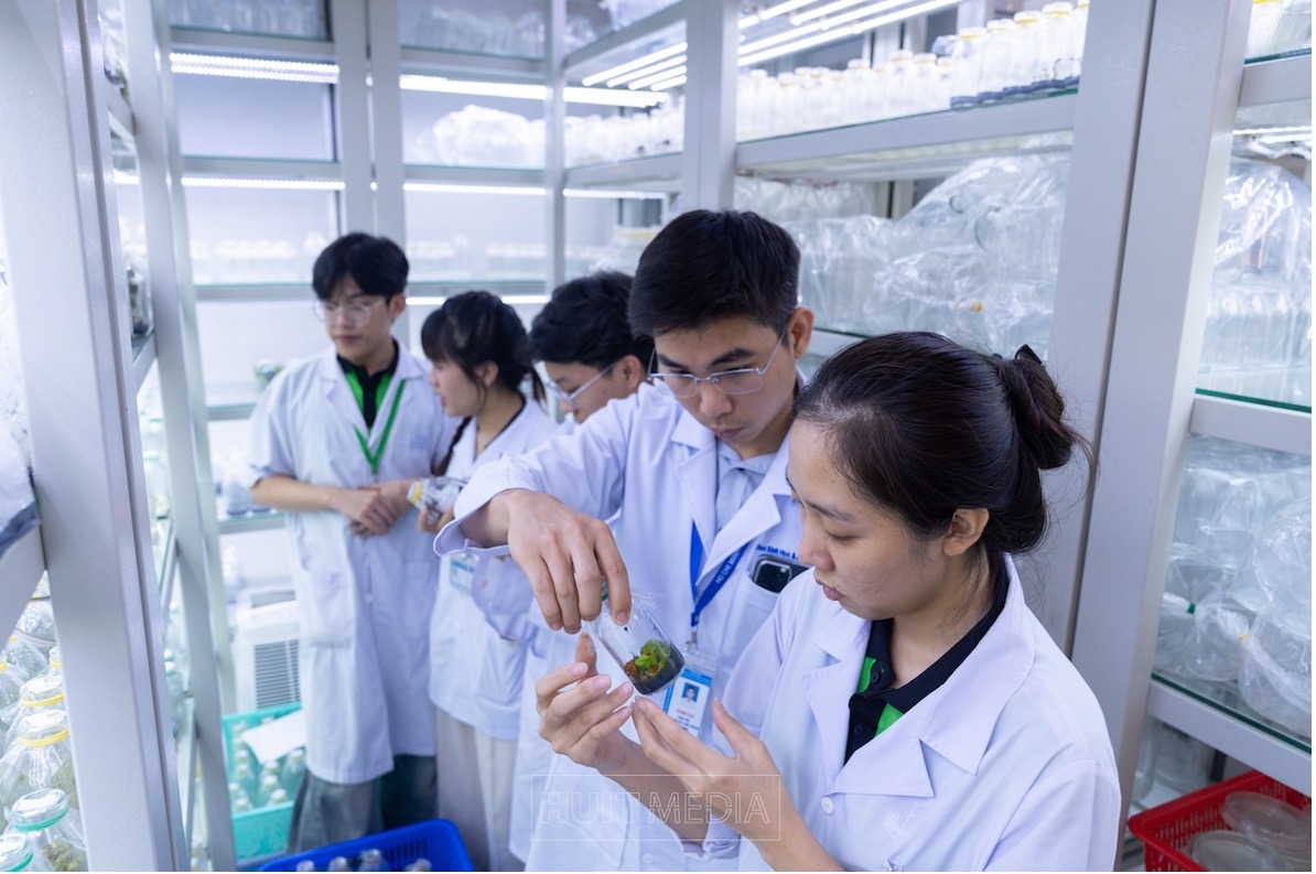Ngành công nghệ sinh học - HUIT